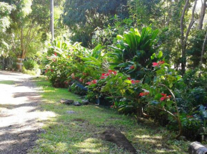 Bungalow d'une chambre avec jardin amenage et wifi a Pointe Noire